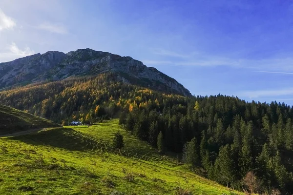 Maravilloso Prado Verde Con Muchos Árboles Una Alta Montaña Con — Foto de Stock
