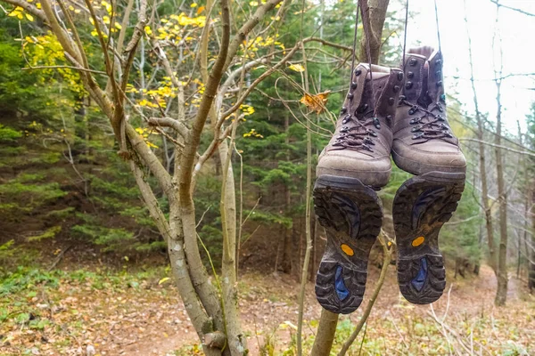 Velhos Sapatos Caminhada Pendurados Arbusto Uma Floresta — Fotografia de Stock