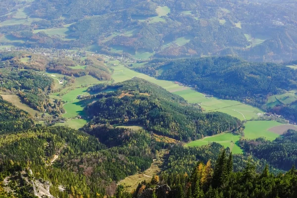 オーストリアの谷に木のある緑の畑や丘は — ストック写真