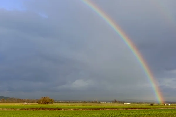Wonderful Rainbow Dark Rain Clouds Green Fields Flat Landscape — Stock Photo, Image