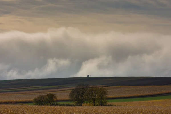 Pola Przybytkiem Przydrożnym Ogromna Gęsta Ściana Białej Mgły Ziemi Jesienią — Zdjęcie stockowe