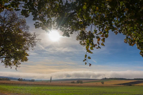 Сяюче Сонце Блакитному Небі Щільною Стіною Білого Туману Землі Восени — стокове фото