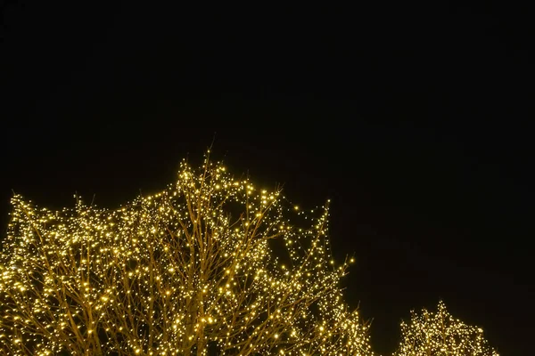 Meraviglioso Albero Con Tante Piccole Luci Mercatino Natale Con Cielo — Foto Stock