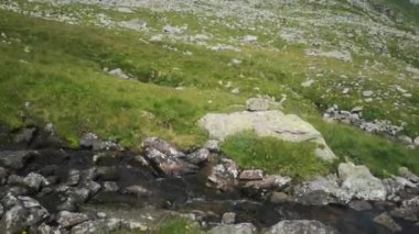 Yeşil dağlarda yürürken temiz soğuk suyu olan küçük bir dere.