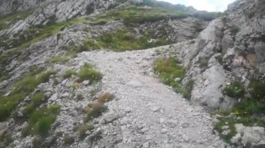 Yazın Avustralya dağlarında küçük yürüyüş yolu.