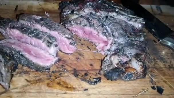 在自然界篝火中燃烧的煤块上烤着美味的肉 — 图库视频影像