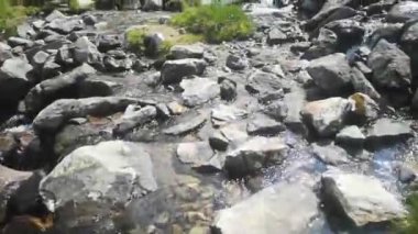 Yazın Avustralya dağlarında açık bir derenin üzerinde taşların üzerinde yürüyüş yapmak.