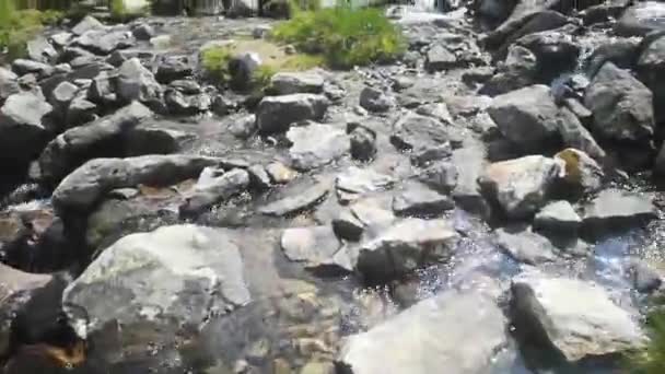Randonnée Pédestre Sur Des Pierres Dessus Ruisseau Dégagé Dans Les — Video