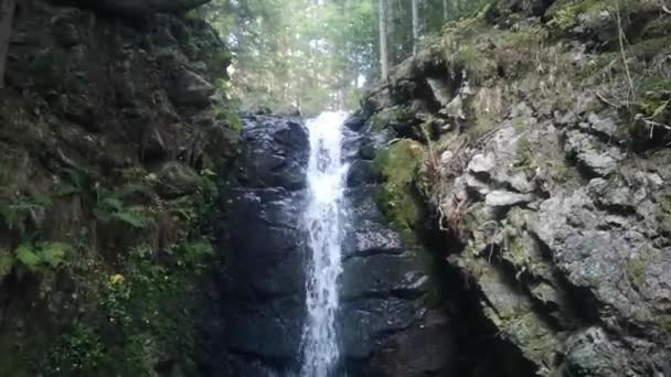 Prachtige Waterval Een Bos Tijdens Wandelingen Oostenrijkse Bergen — Stockvideo