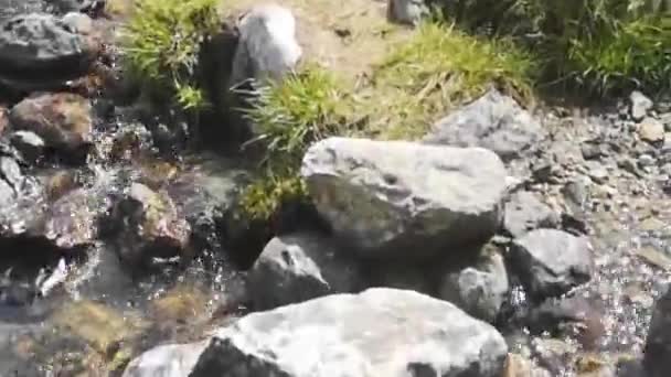 Marcher Sur Des Pierres Dans Ruisseau Tout Faisant Randonnée Dans — Video
