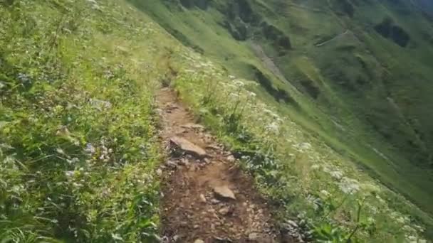 Small Hiking Path Amazing Green Mountains While Hiking Austria Summer — Stock Video