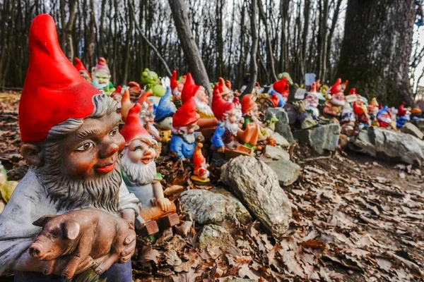 Amazing Colorful Garden Gnomes Place Forest Hiking — Stock Photo, Image