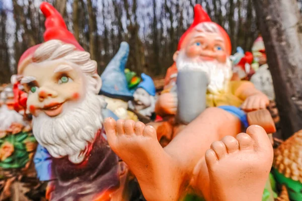Colorful Garden Gnomes Beer Place Forest Hiking — Fotografia de Stock