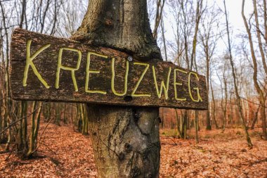 Ormanda yürüyüş yaparken ağaçtaki tahta tabela.