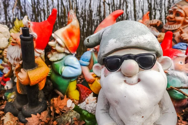Colorful Garden Gnomes Black Sunglasses Place Forest Hiking — Stock Photo, Image