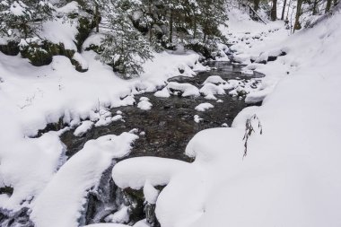 fresh water from a brook and lot of white snow during hiking in the winter