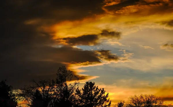 Underbara Mörka Träd Och Färgglada Moln Vid Solnedgången Vintern — Stockfoto
