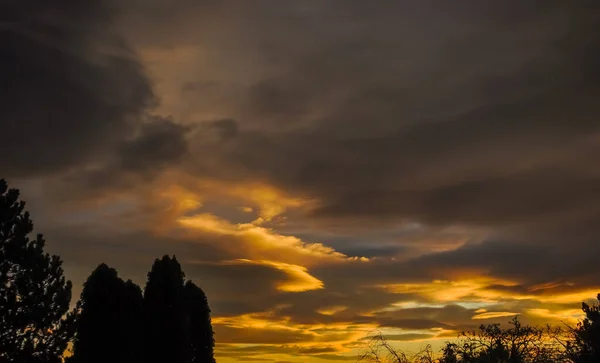 Colorido Atardecer Con Nubes Maravillosas Árboles Oscuros — Foto de Stock