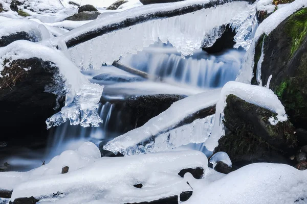 Замороженные Ветви Камни Ручье Зимой — стоковое фото