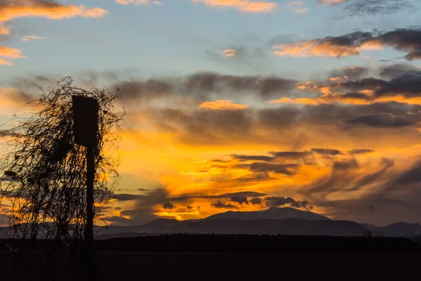 Overwoekerde Hoge Stoel Van Een Jager Met Verbazingwekkende Kleurrijke Zonsondergang — Stockfoto