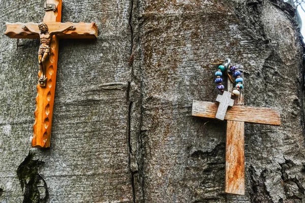 Twee Houten Kruisen Met Jezus Een Enkele Boom Het Bos — Stockfoto