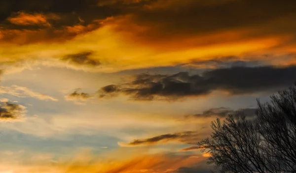Underbara Olika Färgglada Moln Vid Solnedgången Med Ett Träd — Stockfoto