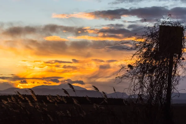 Overwoekerde Hoge Stoel Voor Jacht Prachtige Zonsondergang Met Wolken Aan — Stockfoto
