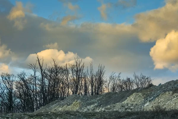 Деревья Известковом Карьере Разноцветными Облаками Время Заката Весной — стоковое фото