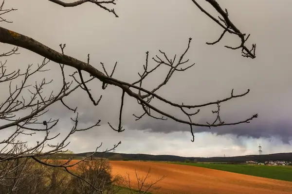 Ágak Egy Fáról Sötét Esőfelhők Természetben — Stock Fotó