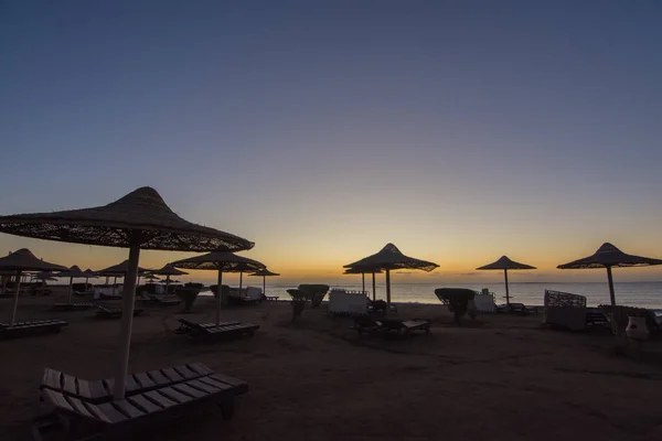 Много Умбрелл Пляже Время Цветного Восхода Солнца Отдыхе Египте — стоковое фото