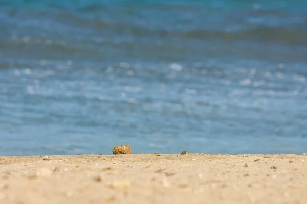 在蓝色的大海上 一块石头躺在沙滩上 — 图库照片
