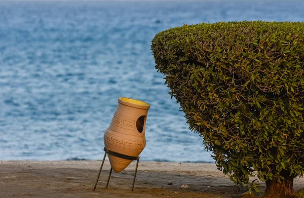 Lata Lixo Barro Arbusto Praia Férias Egypt — Fotografia de Stock