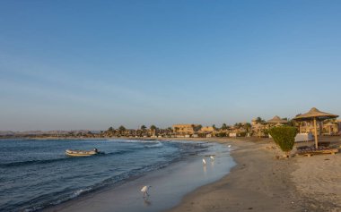 Mısır 'daki Kızıl Deniz' den gün batımından sonra bir sürü beyaz resif örümceği.