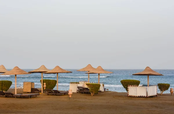 Viele Sonnenschirme Mit Schilf Und Liegestühlen Sandstrand Roten Meer — Stockfoto