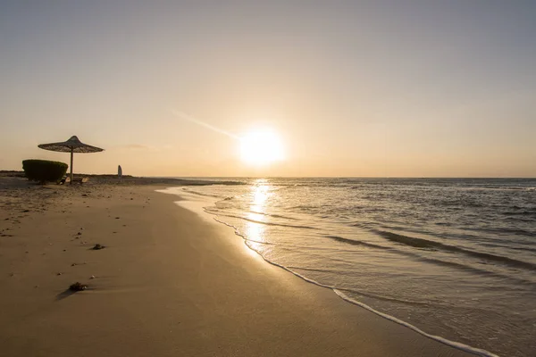 Υπέροχη Ανατολή Στην Αμμώδη Παραλία Μια Ομπρέλα Singel Στη Θάλασσα — Φωτογραφία Αρχείου