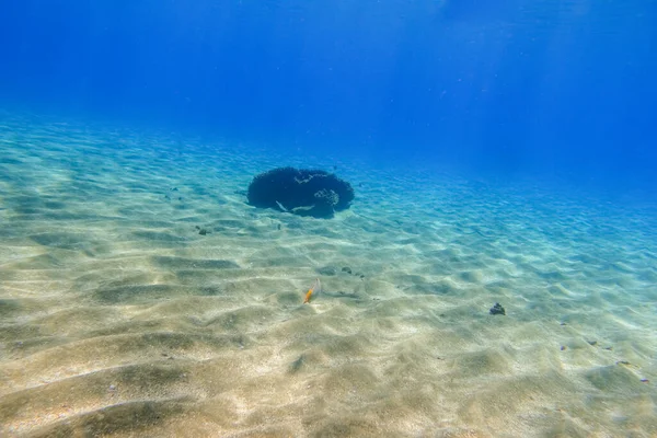 深蓝色海水中的沙质海底小礁在红海埃及 — 图库照片