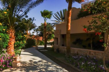 Mısır 'da tatil yapan palmiye ağaçları ve çiçekleri olan harika bir otel kompleksi.