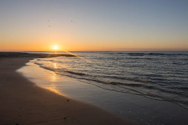 在温暖的日出时分 鸟儿在天空中飞翔 在埃及海滩上荡漾着轻柔的波浪 — 图库照片