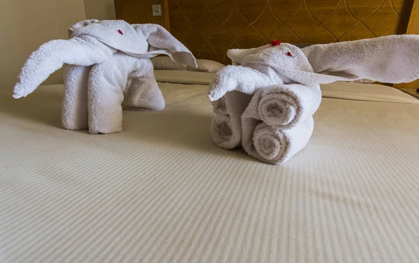 Два Слони Мадо Білих Рушників Ліжку Готельної Кімнати Епіті — стокове фото