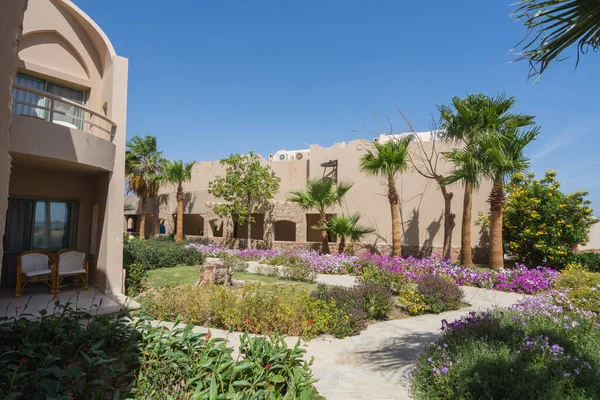 Вид Террасы Другие Здания Отеля Прекрасный Сад Пальмами Египте — стоковое фото