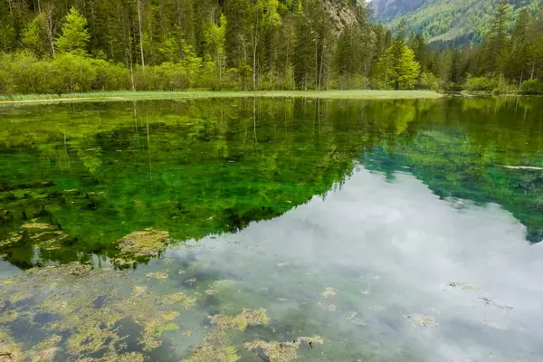 Jezioro Wspaniałymi Zielonymi Algami Refleksjami Nieba Zielonych Wzgórz — Zdjęcie stockowe