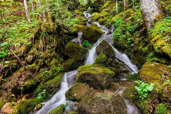 Underbara Små Vattenfall Över Klippor Med Grön Mossa Skogen — Stockfoto