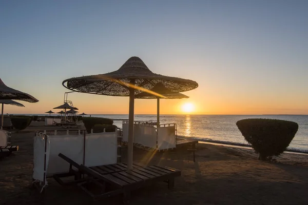 埃及日出时的大海和蓝天的海滩雨伞 — 图库照片