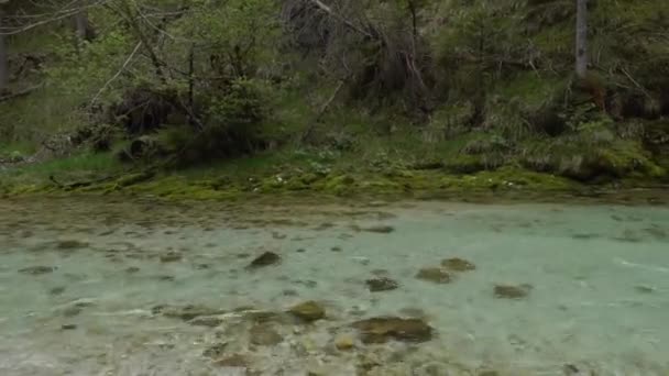 徒步旅行时溪水清澈 瀑布小 — 图库视频影像