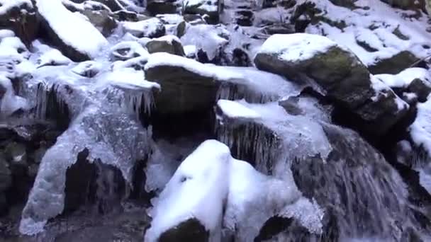 Ruscello Ghiacciato Con Una Cascata Ponte Legno Una Foresta Inverno — Video Stock