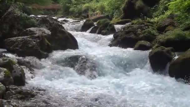 Massor Stenar Ett Snabbt Forsande Vatten Från Torrent Salzburg — Stockvideo