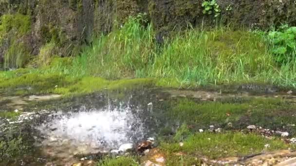 Droppar Klart Kallt Vatten Från Överhängande Konglomerat Väggar Som Heter — Stockvideo