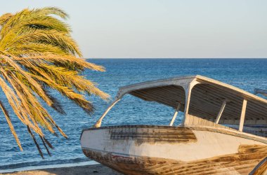 Terk edilmiş ahşap bir tekne ve arkasında mavi deniz olan bir palmiye ağacı.