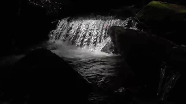 Pequeña Cascada Iluminada Con Fuerte Ruido Bosque — Vídeo de stock