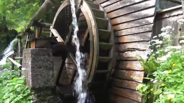 Старая Мельница Деревянным Водяным Колесом Большим Количеством Водопадов Лесу Рядом — стоковое видео